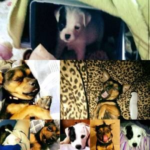 Meet your Posher, Madison